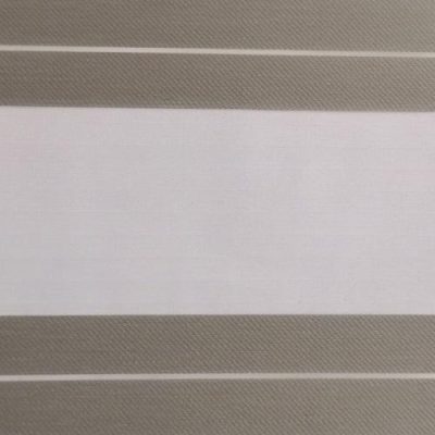 WD Zebra - Sud